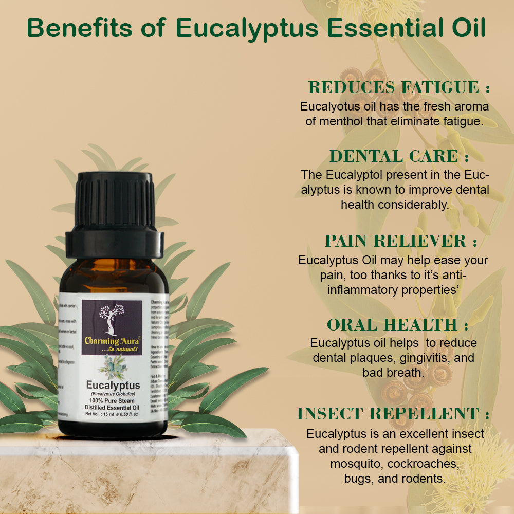 Eucalyptus (Globulus) Essential Oil