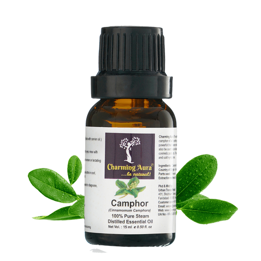 Camphor Essential Oil