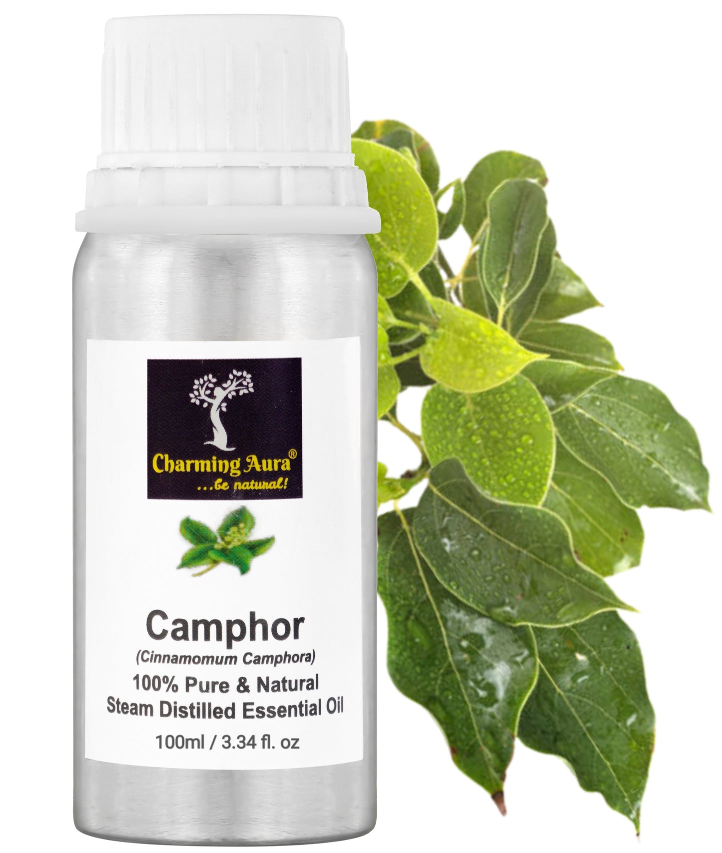 Camphor Essential Oil