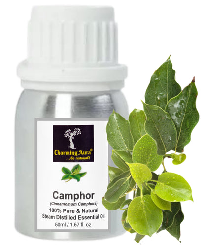 Camphor Essential Oil