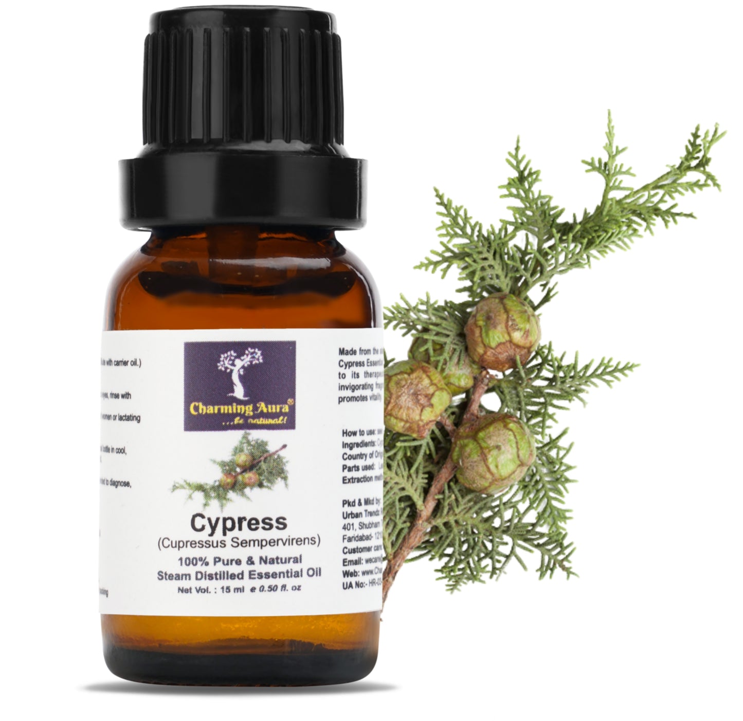 Cypress Essential Oil