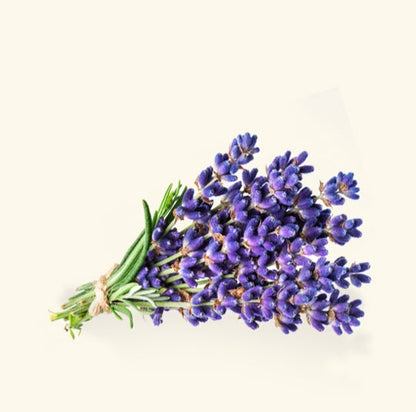 Lavender Essential Oil