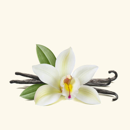 Vanilla Essential Oil