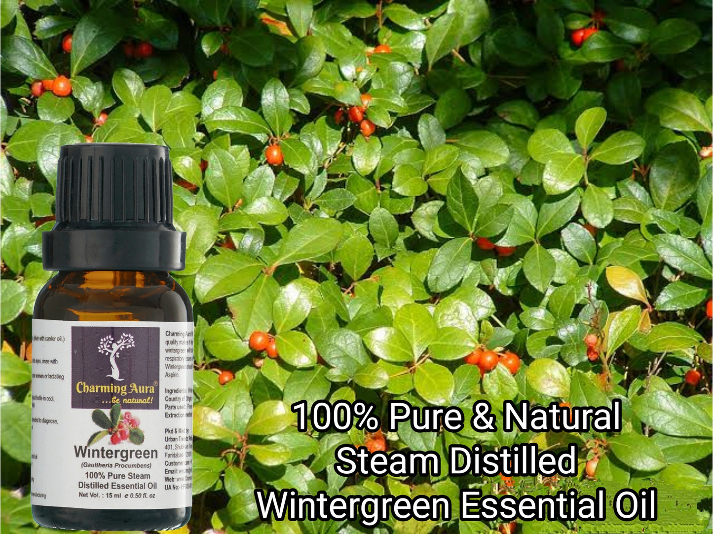 Wintergreen Essential Oil