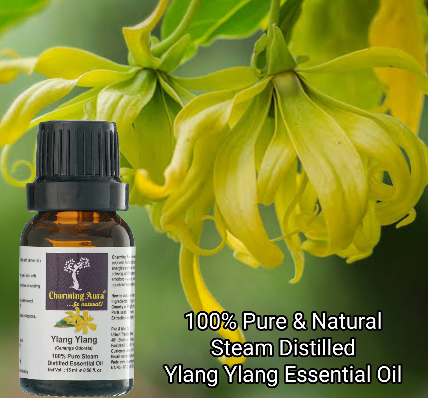 Ylang Ylang Essential Oil