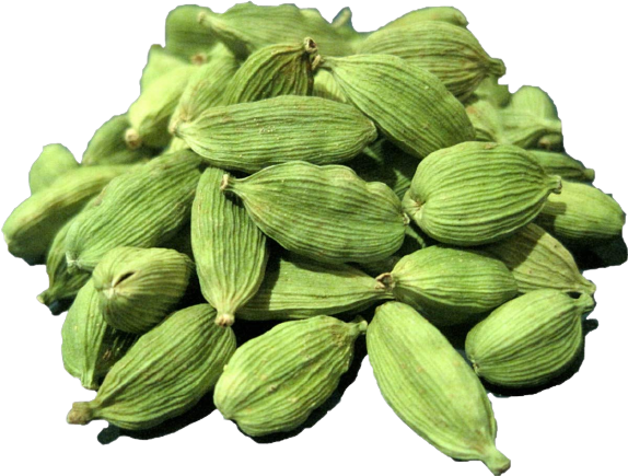 Cardamom Essential Oil